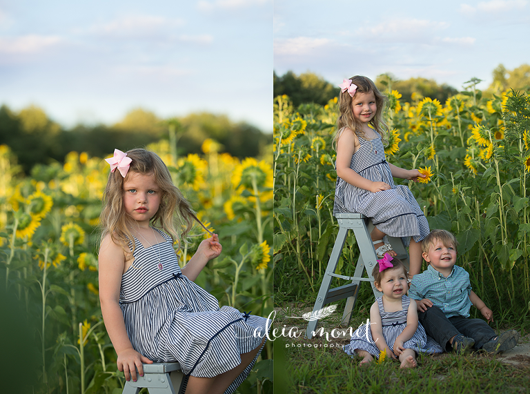 Family Sunflower Photos